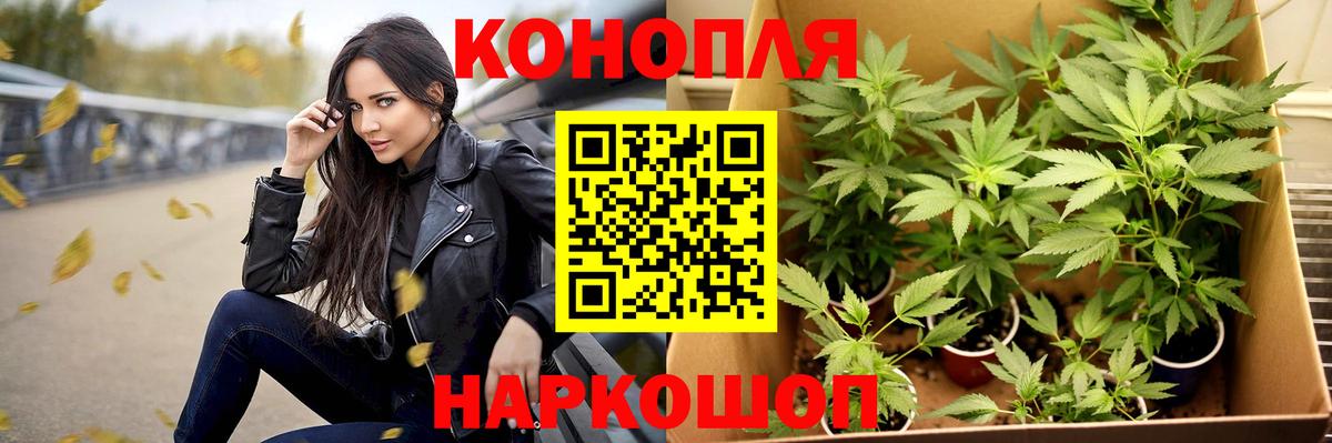Конопля сатива  Вход с VPN  Знаменск  МАРИХУАНА ГИДРОПОН  Канабис планчик  Конопля Ganja 
